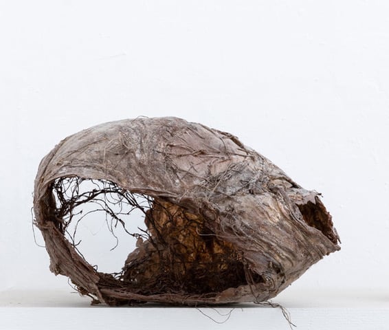 Alessandra Serra – Natura Immagiinale